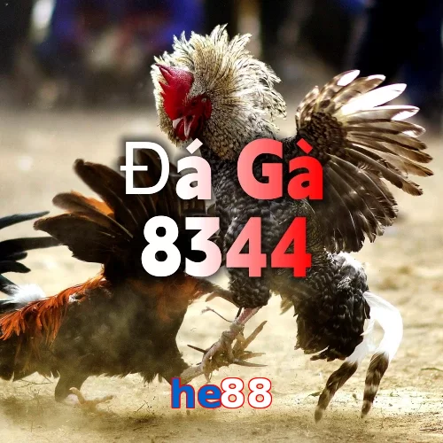 he88
